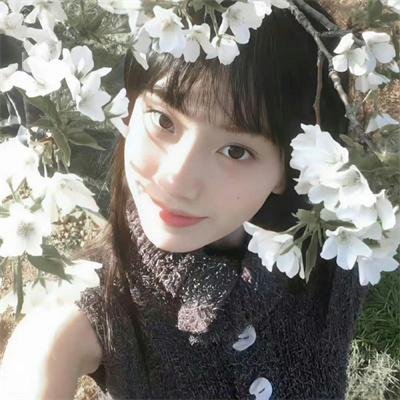 星梦泪痕