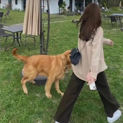 隐世狼女第二季